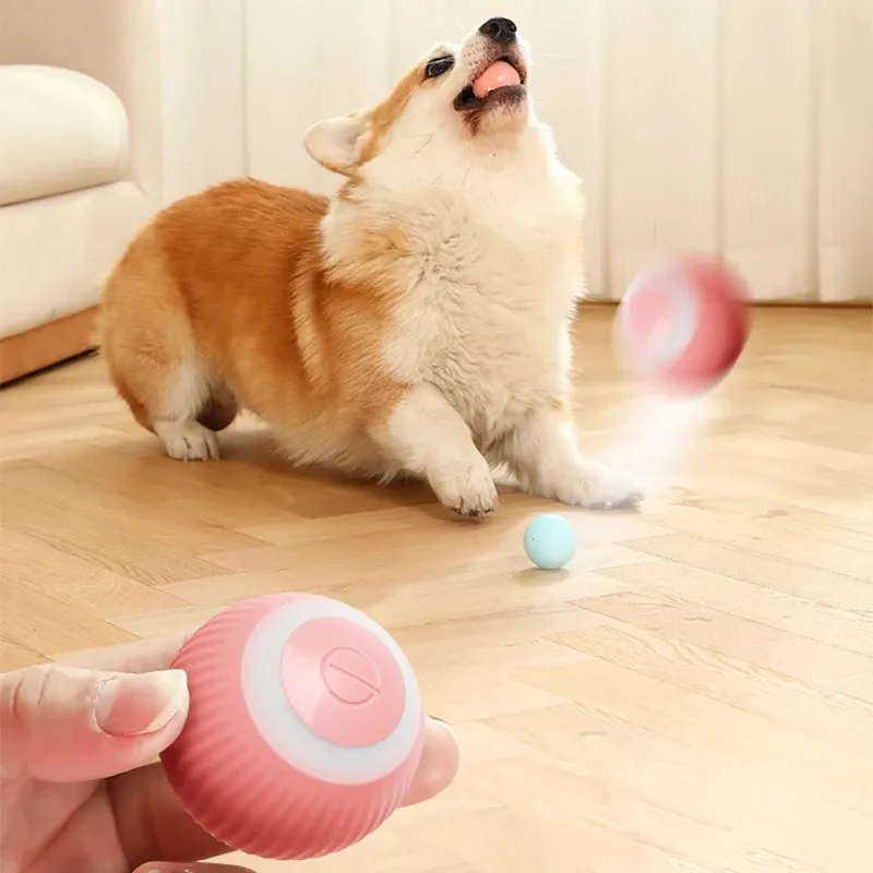 PetGravity™ | Pelota Inteligente Para Mascotas Recargable